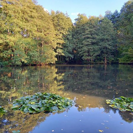 Ferienwohnung Am Waldsee Mit Schwimmbad Gernsbach Eksteriør bilde
