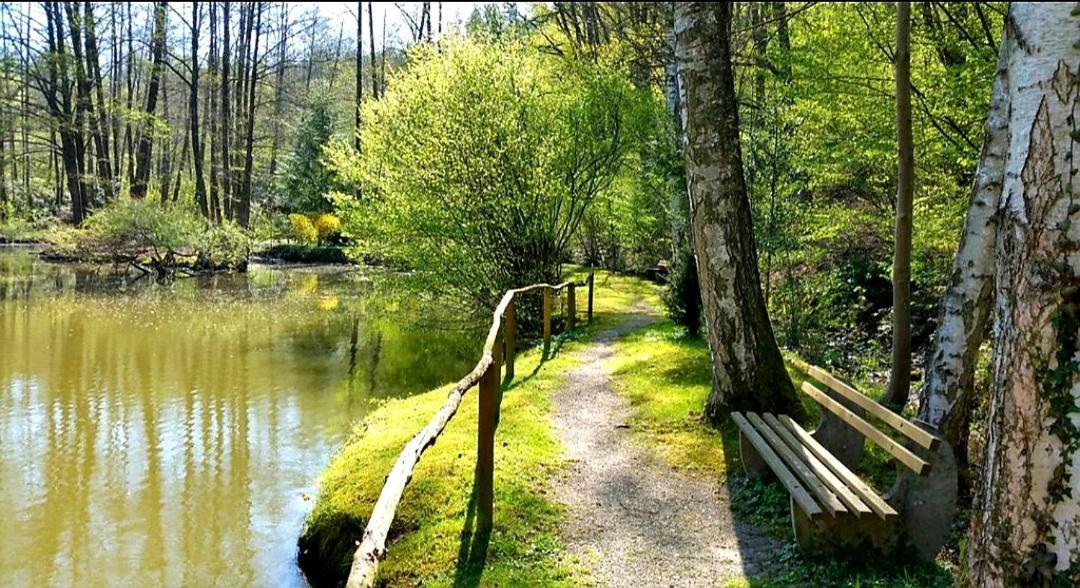 Ferienwohnung Am Waldsee Mit Schwimmbad Gernsbach Eksteriør bilde
