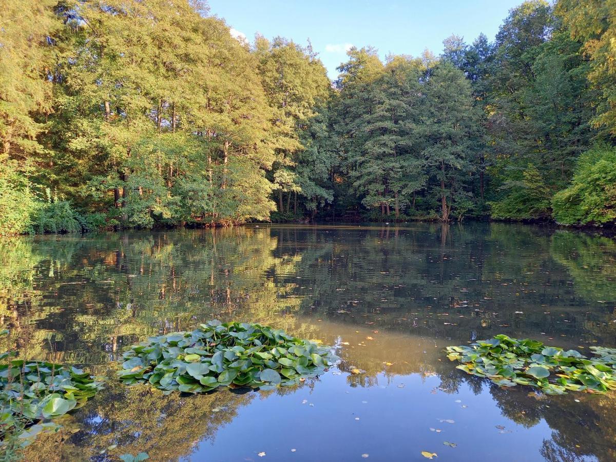 Ferienwohnung Am Waldsee Mit Schwimmbad Gernsbach Eksteriør bilde