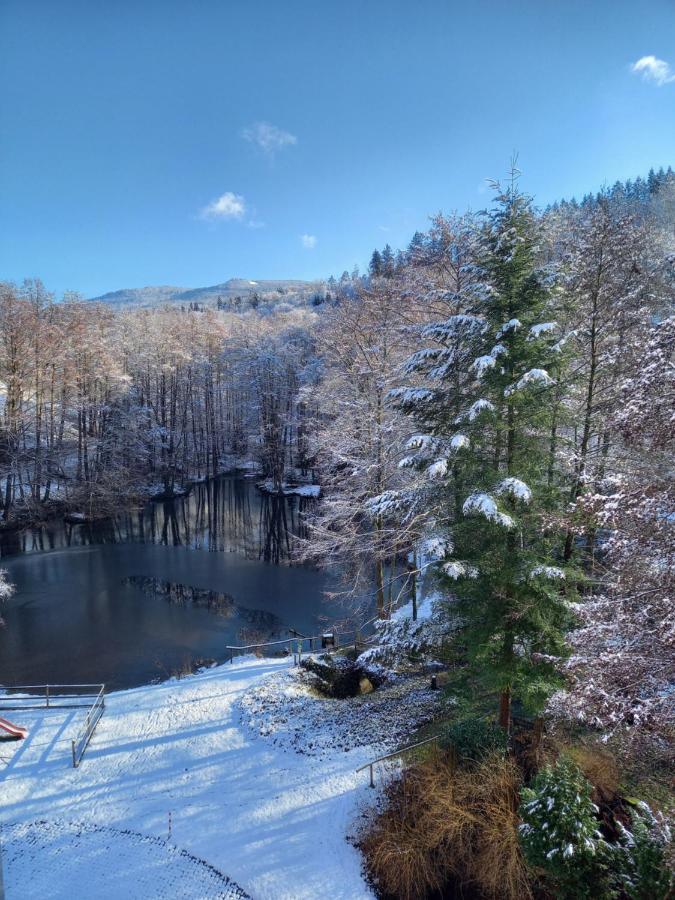 Ferienwohnung Am Waldsee Mit Schwimmbad Gernsbach Eksteriør bilde